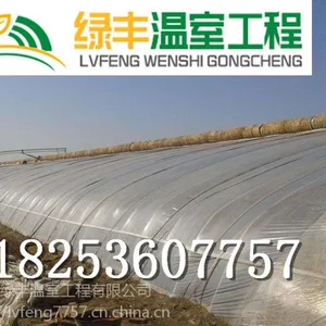 吕梁日光温室大棚建造,柳州钢管大棚建造__青州绿丰温室