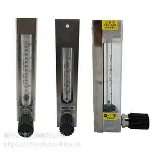 DK800-2F玻璃转子流量计,防腐型微小流量玻璃转子流量计