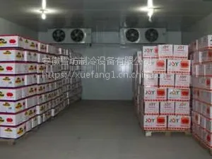 Danfoss/丹佛斯 商洛市苹果保鲜冷库厂家建设 找雪坊冷库