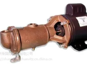 ���Ҵ�������OBERDORFER�ǽ�����