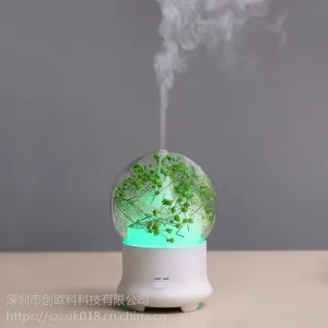 ��ó��Ʒ��������޹�� ��������ʪ��Ʒ�� ���ڳ���רҵ����