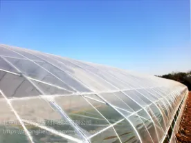 ���ڴ���Ĥ���Ҹ���ϵͳPO�߲��޵�Ĥ���±�Ĥ����ɹ�Ӻ���ֳ�ڰ�Ĥ