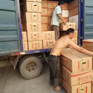 广州市从化区到南京物流提供回头车运输