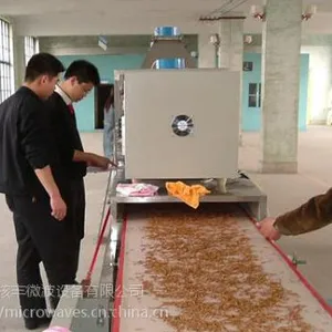 供应核丰GUE150A隧道式黄粉虫微波干燥机