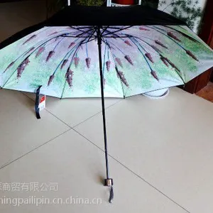 �����ڽ�ɡ ����ɡ��ɹС��ɡ ����ʡ��Ҷ***��������ɡӡ��8��