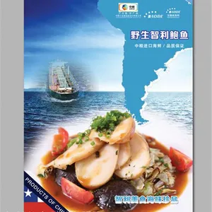 湖州宣传彩页设计制作 公司产品彩页 湖州DM彩页印刷价格