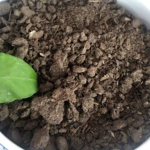 ��ݮר�÷� Ģ���� ţ��� ר�÷� ��Ч�л��� ������***