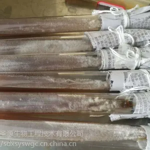枯草芽孢杆菌