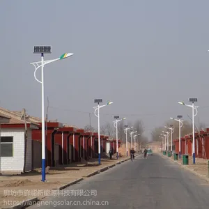 河北廊能太阳能路灯LED路灯高杆灯6米8米10米12米公路照明新农村建设