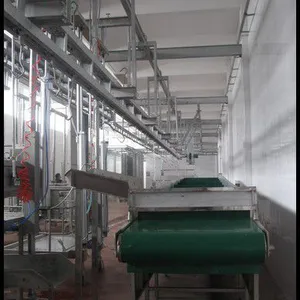 厂家直供质优价廉屠宰机械设备牛屠宰牛内脏运输线1.2