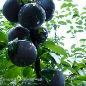 �ڲ���������۸����Ǯһ������������