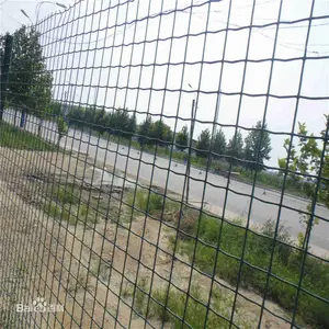 ��ֳר�ú����� ������Ѽ��Χ�� ����԰������