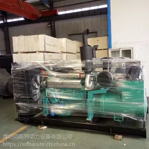供应潍柴300kw柴油发电机组 WP13D385E200发动机 潍柴原厂