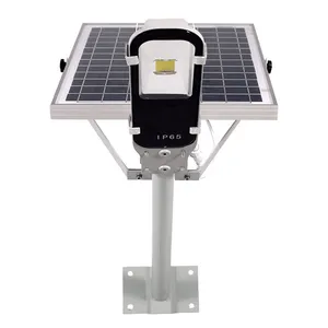 led太阳能路灯头户外庭院灯小金豆 新农村路灯6米高杆超亮街道灯10W