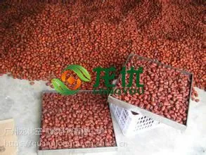 龙优红枣烘干机厂家 空气能红枣烘干机
