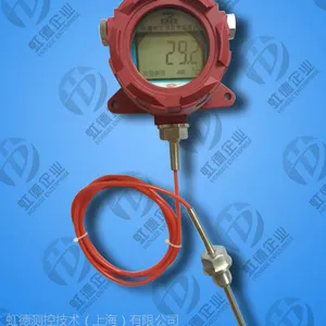 防爆数字温度计哪家好 虹德