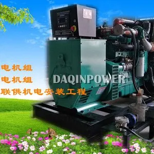 广东沼气发电机组厂家生物质沼气发电机余热利用方案