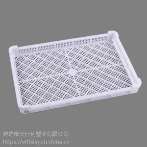 批发塑料单冻器风干食品晾晒盘塑料烘干盘海鲜产品冷冻盘现货
