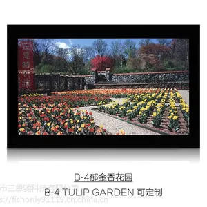 3nh三恩时测色卡郁金香花园B-4 Tulip Garden色彩图像测试卡定制