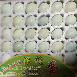 高产黑羽绿壳蛋鸡 高产麻羽绿壳蛋鸡 五黑一绿绿壳蛋鸡种蛋 湖北华绿生态农业