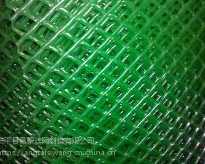 批发塑料养殖网,塑料平网,质优价廉,欢迎订购