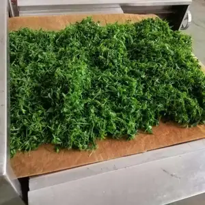 胶股蓝微波杀青机原理