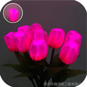 �����ˮ �ز�� ��ɫ�ز�ƻ����ƹ�ڲ�ص�