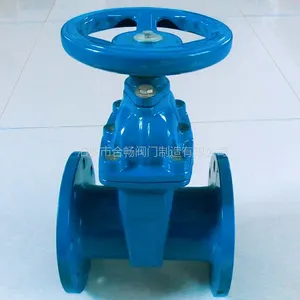 RVHX/Z41X厂家批发DN50 80 100 125暗杆软密封闸阀一件起批/代发量大***