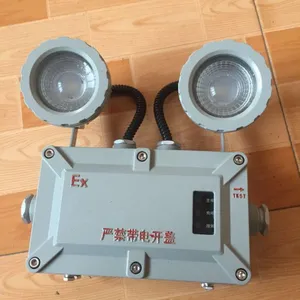 BCJ防爆双头应急灯/新黎明防爆应急灯/浙江新黎明BCJ应急灯