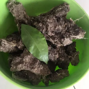 河北鸡粪 优质干鸡粪 自然晒干 肥效久 肥劲大 欢迎来电