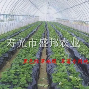 供应农用除草地膜 黑地膜除草 白地膜提地温 银灰地膜反光 黑白相间地膜 草莓专用地膜 大棚专用地膜