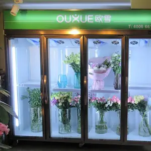 上海鲜花专用保鲜柜哪里有出售价格多少