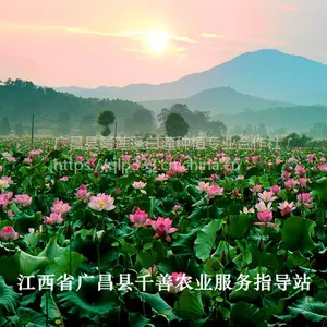 �ɻ���ź̫����36��С��Ϻ��������ߣ��߲�400�����Ӳ��û�