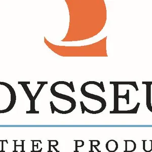 ��˾logo