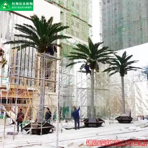 人造玻璃钢仿真银海藻树厂家定制