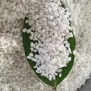 园艺珍珠岩颗粒-膨胀珍珠岩-育苗基质珍珠岩-农业珍珠岩颗粒