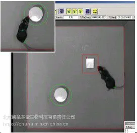 行为学实验站