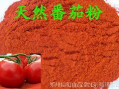 番茄粉生产厂家 河南郑州番茄粉价格多少