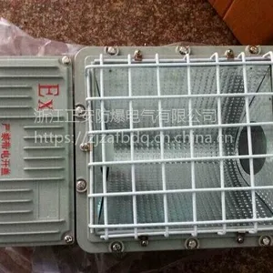 BAT53防爆泛光灯/防爆工程灯/马路防爆灯