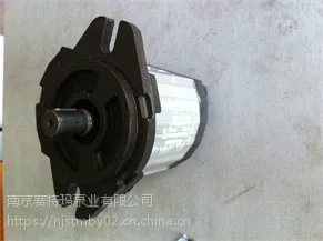 进口SETTIMA高压螺旋泵ZNYB01021802高品质螺杆泵现货供应
