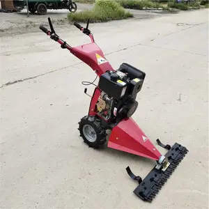 ����ʽ԰���޼��� ԰�ֱ������͸�ݻ� �ַ���