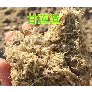 郑州棉渣,开封棉渣,洛阳棉渣,平顶山棉渣,焦作棉渣,鹤壁棉渣新乡棉渣安阳棉渣濮阳许昌棉渣废棉麸皮稻草