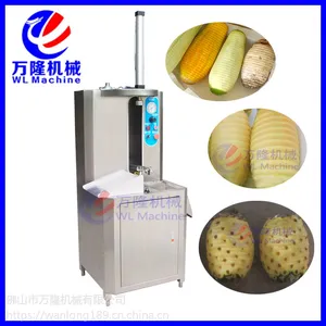 热销瓜果削皮机 多功能刨皮器 黑皮冬瓜削皮机 白皮冬瓜削皮机