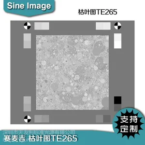 ESSER爱莎死亡枯叶chart图卡TE265中低对比度分析纹理损失测试卡