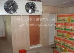 Danfoss/丹佛斯 安康市苹果保鲜冷库厂家建设 找雪坊冷库
