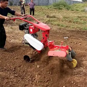 �๦��ʩ�ʿ����� ʥ³�߲˴���������¢�� ����ʽ���������