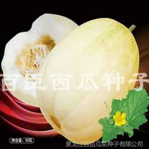 优质甜瓜种子|优质甜瓜种子供应商