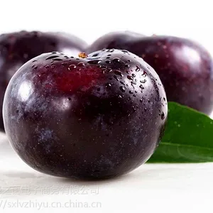 ����2017�����Ӻڱ�ʯ������ͳ�ڲ�������5�����
