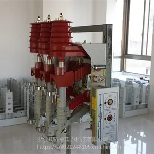 {ת�۵����10KV��װʽ��ѹ���ɿ���FN12-12/630-20}