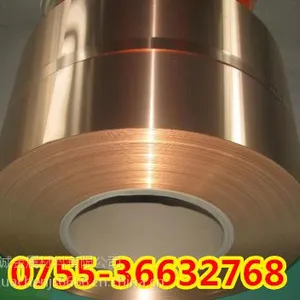 KLF170ͭ��KLF170ͭ��